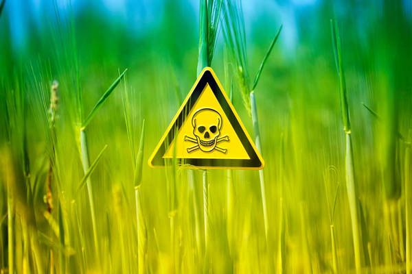 LA Pestizide Alamy LA Pestizide Alamy