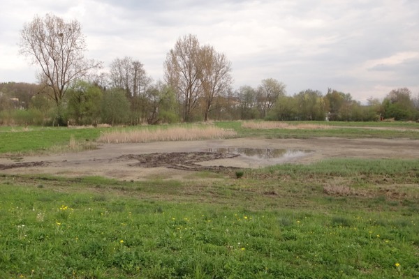 KS Aufmacher CG KS Aufmacher CG