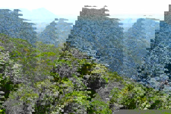 Forests Aufhaenger TGK RVA 2 030 POSS Forests Aufhaenger TGK RVA 2 030 POSS