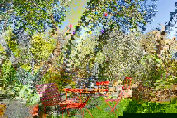 Mauritius Images IB14322479