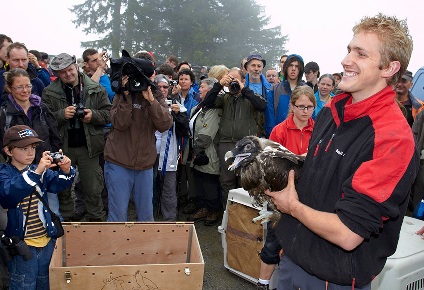 Bartgeier Medien Staehli MG 7086 Bartgeier Medien Staehli MG 7086
