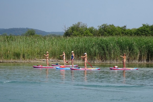 SUP Paddler CG SUP Paddler CG