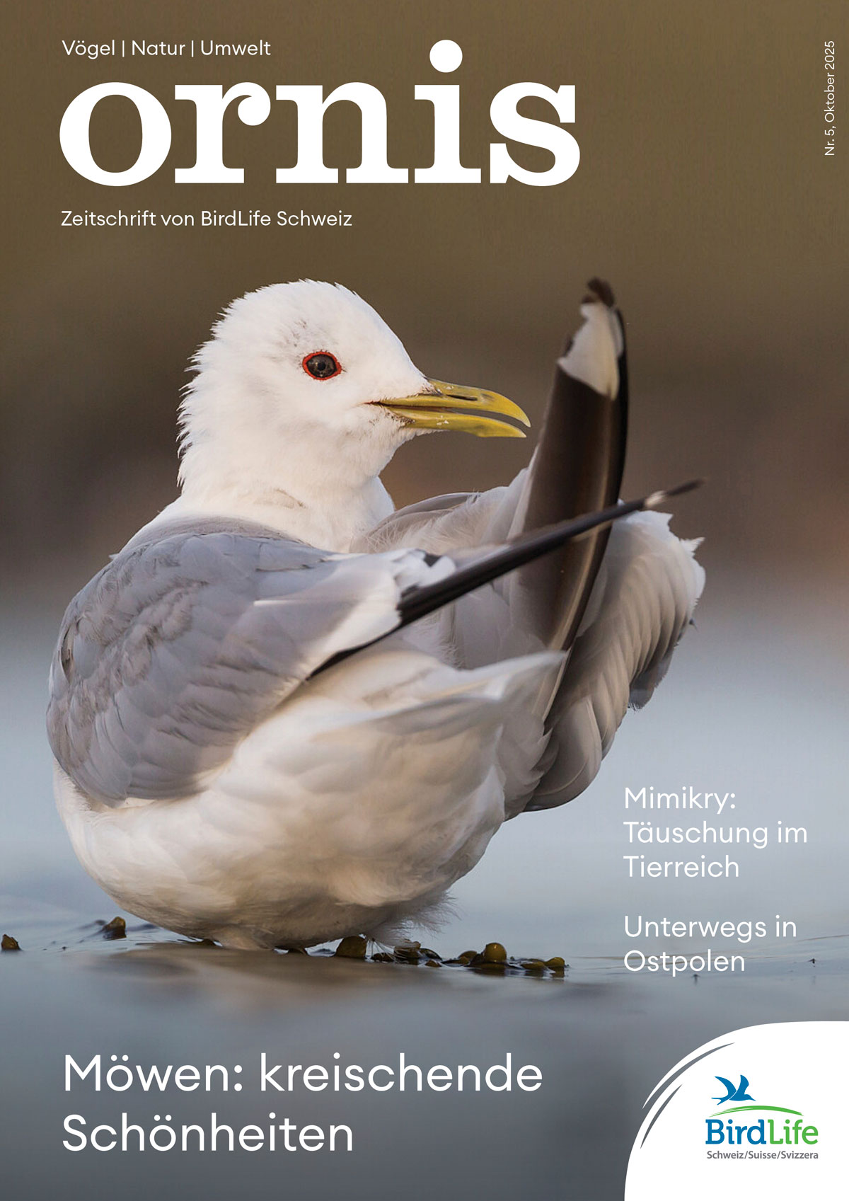 Orn 5 Cover
