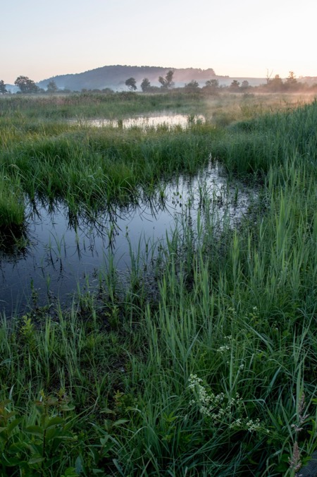 Ein Moor braucht Wasser