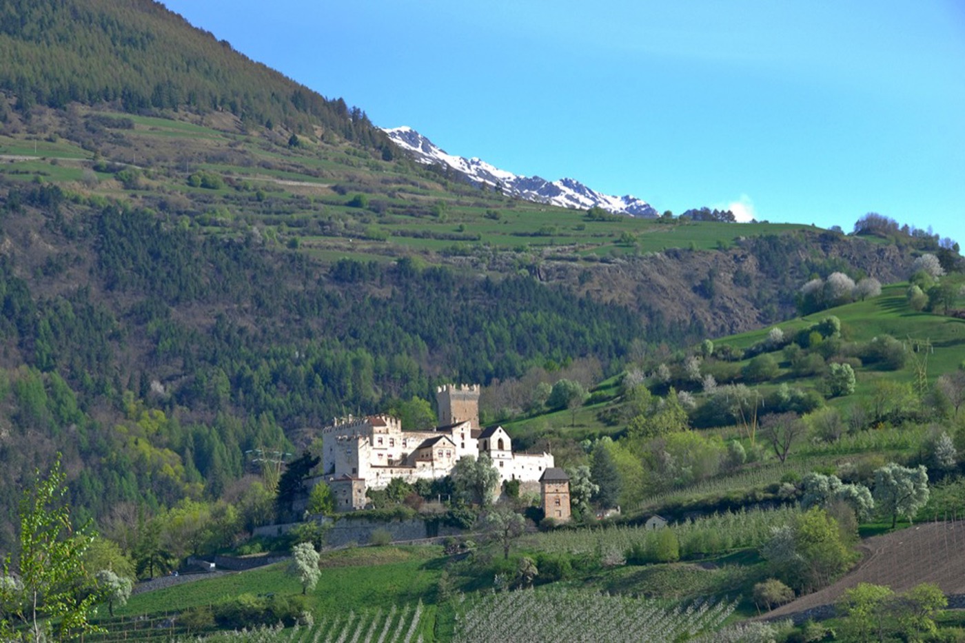 Die Churburg bei Schluderns wurde vom Churer Bischof Heinrich von Montfort Mitte des 13. Jahrhunderts erbaut und ist ein Wahrzeichen des Vinschgaus. © Thomas Wilhalm Die Churburg bei Schluderns wurde vom Churer Bischof Heinrich von Montfort Mitte des 13. Jahrhunderts erbaut und ist ein Wahrzeichen des Vinschgaus. © Thomas Wilhalm