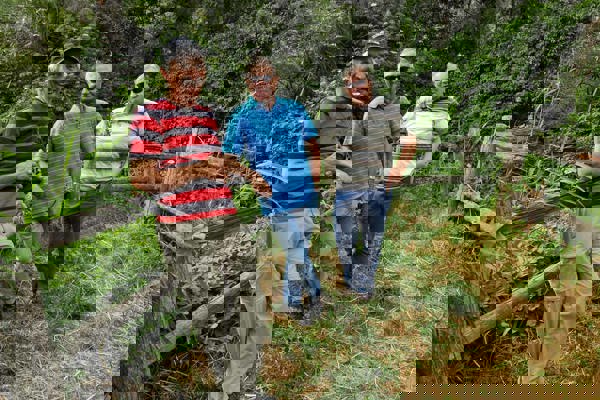 NVO Oberwallis Eyer Wyer Salzgeber 6 NVO Oberwallis Eyer Wyer Salzgeber 6