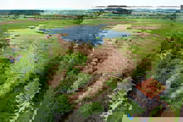 Neeri Wirz Neeri Wirz