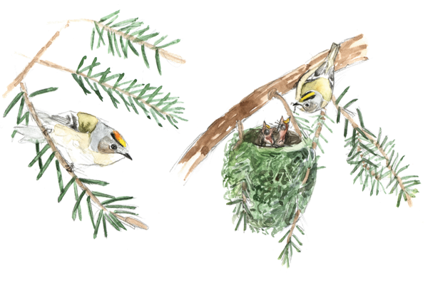 Bildschirmfoto 2025 03 24 Um 15.10.05 Bildschirmfoto 2025 03 24 Um 15.10.05